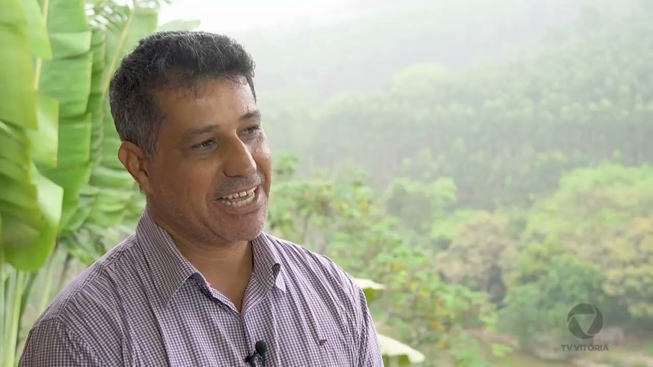 A cadeia do eucalipto e os novos investimentos da Suzano | Agro Business