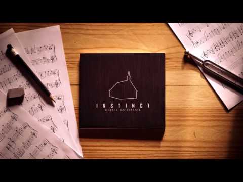 Wojtek Szczepanik - INSTINCT III | 432 Hz