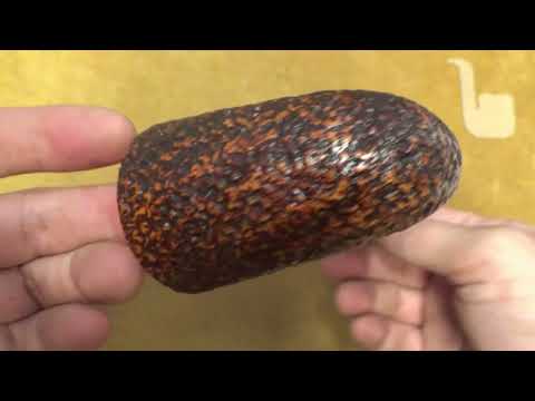 Pipa Ser Jacopo (R1) B  rusticata - Maxima - Maxima - Bent Dublin - SJ270