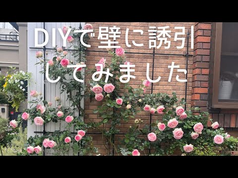 トレリスをどこにどのように取り付けるかを知っておくことが重要です。その役割は何ですか、そしてどの植物がそれを必要とするのでしょうか？  庭園