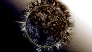 Beck - Dark Star - Full Cover