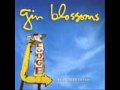 Gin Blossoms- California Sun