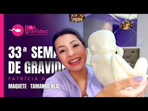 33 SEMANAS DE GRAVIDEZ (Atualizado) Série A Formação Humana | 8 Meses de Gravidez, 3° Trimestre