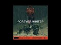 The Forever Winter OST Beyond The Burning Skies Extended