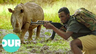 How Animal Black Ops Try To Save Rhino Extinction | Our World
