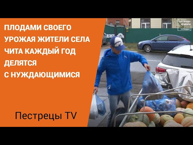 Одиноким пожилым людям раздали овощи от жителей села Чита
