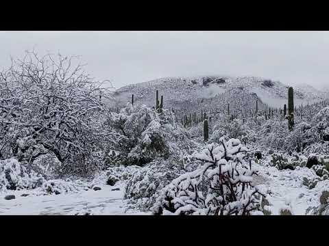 sabino snow march 13 2021