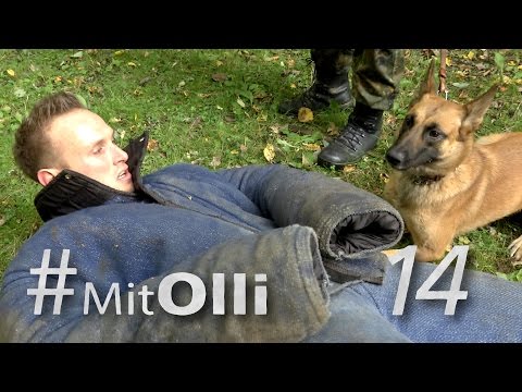 Mit Olli - in der Diensthundeschule - Bundeswehr