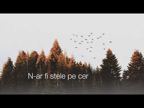 LIVIU HESS - STATE  ,,Splendori divine!" (Official Video)