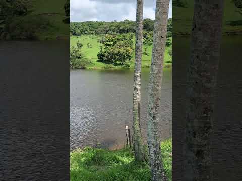 barragem na zona Rural de bom conselho Pernambuco