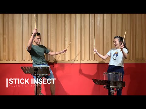 ABRSM G3 Percussion 2020 (A3) Stick Insect - Kevin Hathway