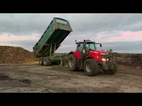 Sugar Beet Harvest 2021