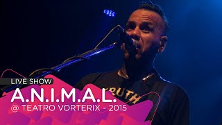 ESPERANDO EL FINAL - A.N.I.M.A.L. en vivo en el @TeatroVorterix