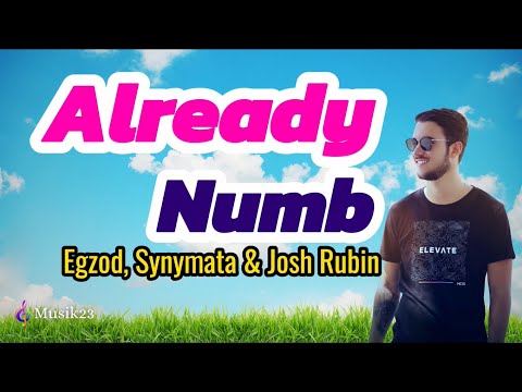 Egzod, Synymata & Josh Rubin - Already Numb (Lirik dan Terjemahan)