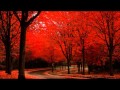 An Ode To Autumn (set to "Light Through The Trees" by Bradley Joseph)