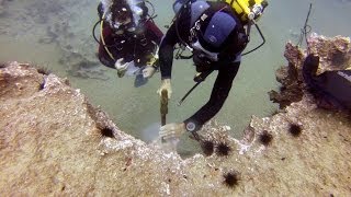 preview picture of video 'Toma de muestras geológicas submarinas en la Bahía de Las Canteras'