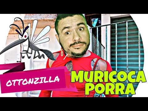 NEGO DO BOREL - ME SOLTA - PARÓDIA (MURIÇOCA PORRA) 🤣👌