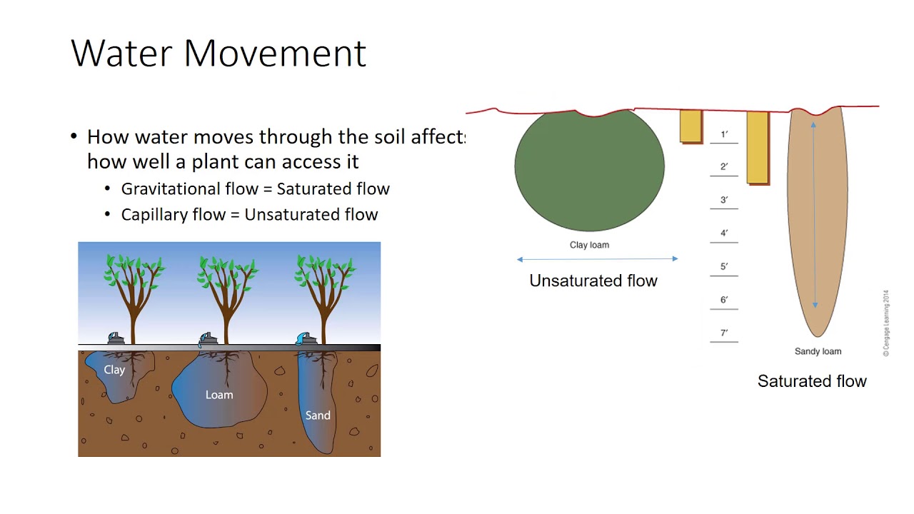 Mechanics of Soil Water