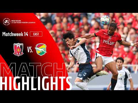 bg-highlight