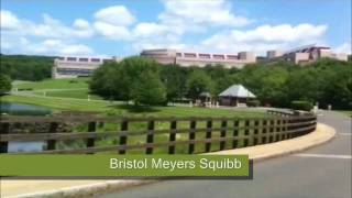 Take a Tour of Wallingford, CT