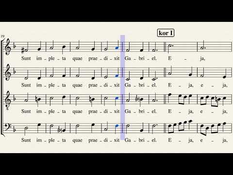 Resonet in laudibus by Jacobus Gallus (1550-1591)