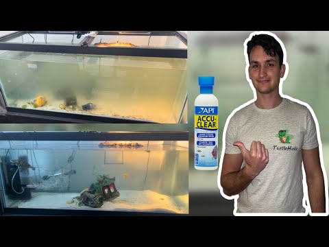 Easily Fixing A Cloudy Aquarium (API Accu Clear Water Clarifier Review)