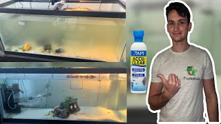 Easily Fixing A Cloudy Aquarium with Magical Solution (Accu-Clear Review)