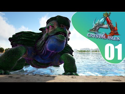 TÆMMER EN GIGANTISK SKILDPADDE - DANSK ARK