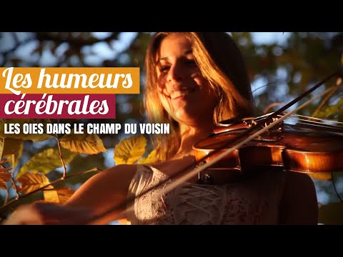 Les humeurs cérébrales -  Les oies dans le champ du voisin CLIP