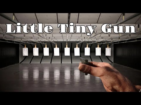 Seecamp .32 Pistol VS Seecamp .380 Pistol Review