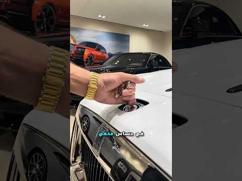 مهما يحصل اوعى تحط ايديك على تمثال العربية دى و انت بتتصور جمبها