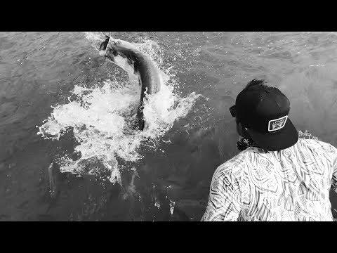 "The Silver Grind" Trailer.. Tarpon Fishing Boca Grande
