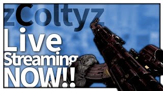 [FPS]#23　1年前の最新作でフィードを狙う＆レベリング　参加○