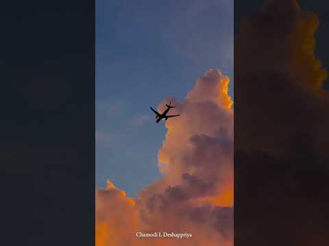 It's A Different Vibe 🛩️ #Chamodi L Deshappriya @Sri Lanka