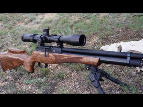 Daystate Revere review!