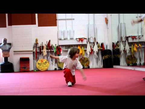 Kung Fu Master Jacob Alexander Goldin