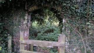 preview picture of video 'The Itchen at Twyford - Weekend Walk 1'