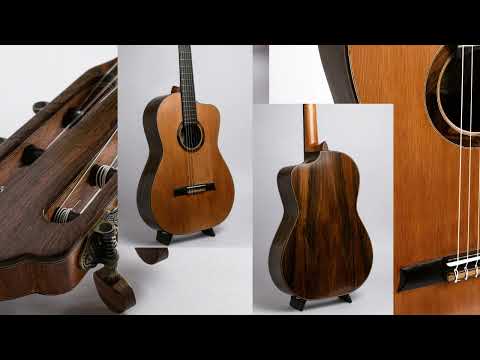 Made to order Handmade Guitar Crossover Solid Woods Brazil French Polish image 19