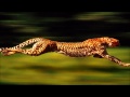 The Crystal Method - Cherry Twist