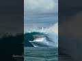 Cruise Ship Battling Enormous Waves! Completely Submerged in Water #scaryocean #cruise #ocean
