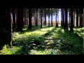 BERNSTEIN......LICHTWÄRTS 