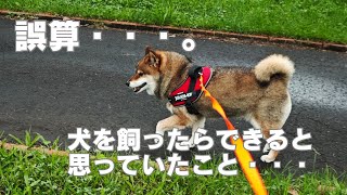 犬との暮らしのここが誤算でした・・・