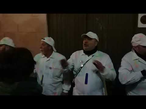 Chirigota Callejera - Los Pintamonas - 2019