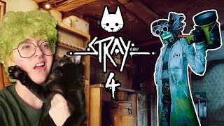 WHAT'S UP DOC - Stray Pt 4