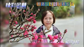 跟著小楊老師趣旅行～梅峰春之饗宴