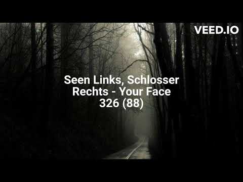 Seen Links, Schlosser Rechts - Your Face (88)