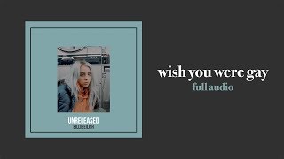 Billie Eilish - wish you were gay (Full audio)
