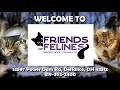 Friends Of Felines Rescue Center