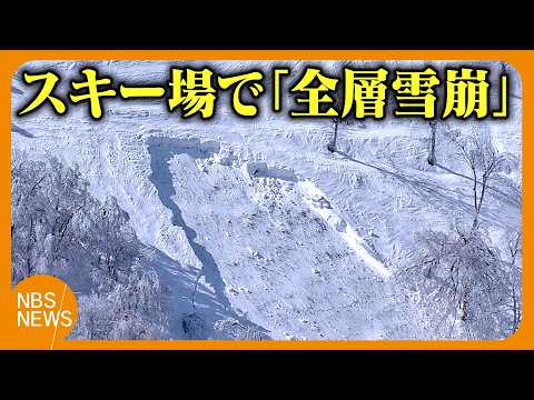 スキー場で大規模な雪崩…14歳含む4人大けが　前兆ないまま「全層雪崩」最大で幅約185メートル、長さ約600メートル　圧雪していない上級者用の急斜面で発生　長野と新潟にまたがる斑尾高原スキー場