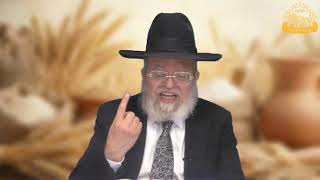 דף היומי בחצי שעה – מסכת מנחות דף צ'